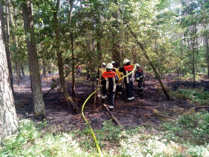 Schnelles Eingreifen verhindert Waldbrand