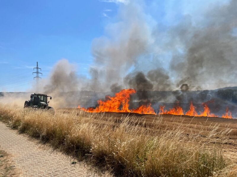 18 Hektar in Brand geraten